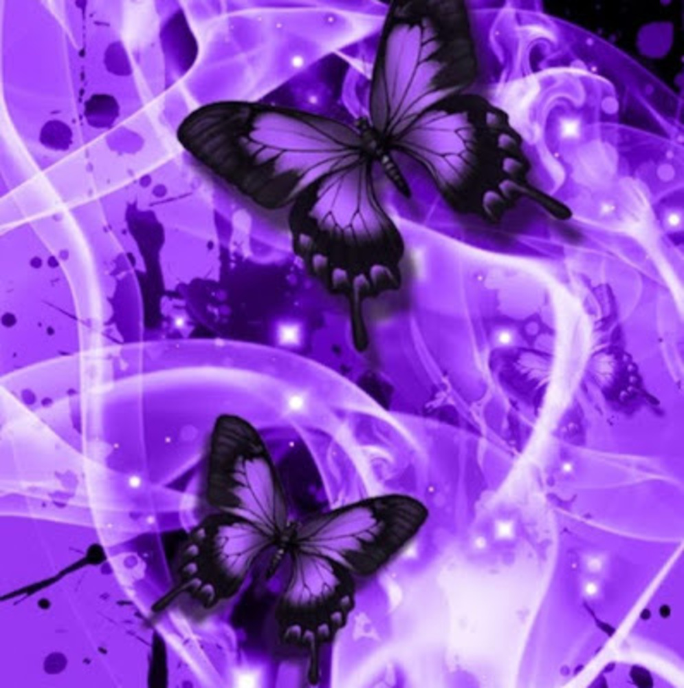 Meet your Posher, Luna